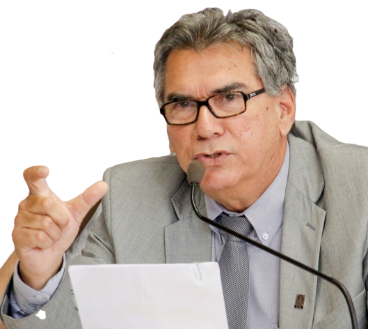 Prof. Carlos Antônio Levi da Conceição